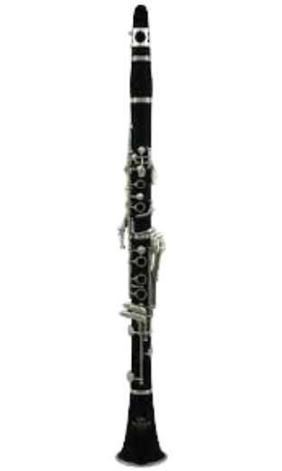 Clarinete Roy Benson CB 218